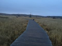 -塞罕坝国家级自然保护区