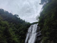 -大奇山国家森林公园