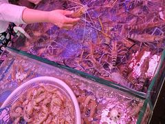 -韩家墅海吉星农产品批发市场