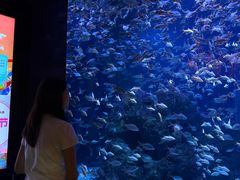 -成都浩海立方海洋公园