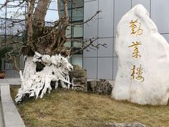 -西南政法大学(渝北校区)