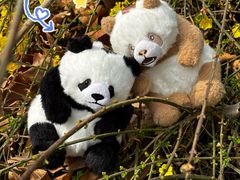 -栾川竹海野生动物园