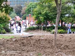 -映月湖中央公园