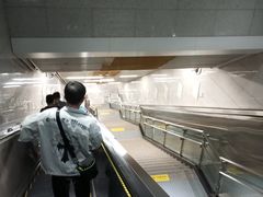 -大龙山(地铁站)