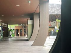 -新加坡飞禽公园