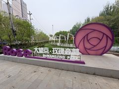 -大望京公园