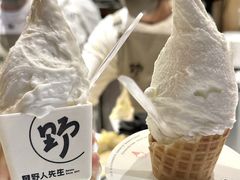 -野人先生Gelato(上海长宁龙之梦店)