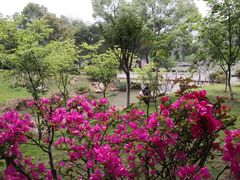 -金山公园