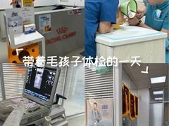 -美美宠物诊疗中心·异宠·骨科(滨江东信分院)