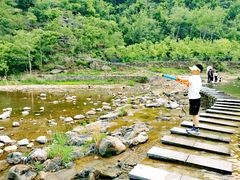 -白河湾生态旅游一条川