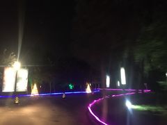 -枫花园汽车电影院(朝阳公园店)