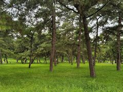 -承德避暑山庄景区