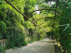 -红螺寺