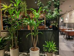 -西堤牛排(北京国瑞店)