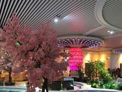 -水晶之星洗浴温泉汗蒸