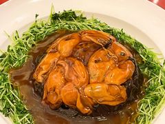 -美心皇宫(屯门大会堂店)