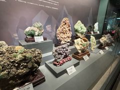 -湖南省地质博物馆