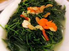 上汤浸辣椒叶-新兴家喻酒家·羊城名宴(昌岗店)