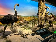 -国家自然博物馆