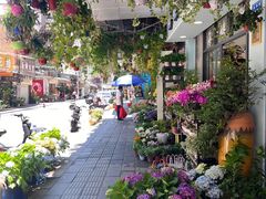 -溪岸路花鸟市场