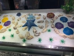 -芭菲盛宴·环球美食(解放碑英利国际店)