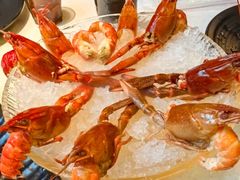 -红盔甲·小龙虾(天钥桥店)