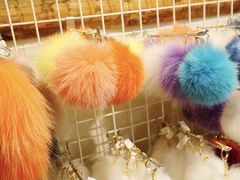 -宫城藏王狐狸村