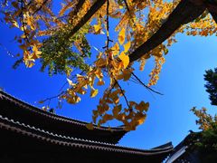 -清凉寺