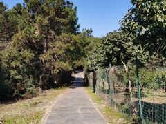 -青龙山国家森林公园