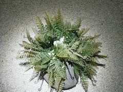 -朴境采耳·足道按摩(科学大道旗舰店)