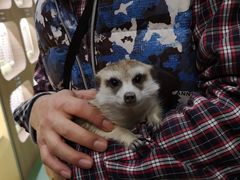 -藦茜花园宠物主题亲子互动体验馆(国顺东路店)