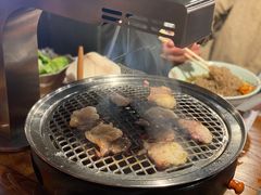 -火烈鸟