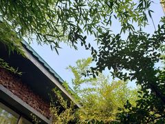 -御林汤泉