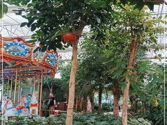 -南宫五洲植物乐园