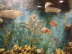 -红莲中餐厅(日航饭店)