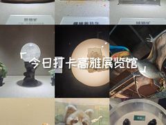 -陕西自然博物馆