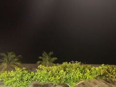 -渔家火锅·海鲜自助餐·演艺(亚龙湾天域酒店)