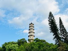 -江心屿景区