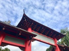 -四川大学(望江校区)
