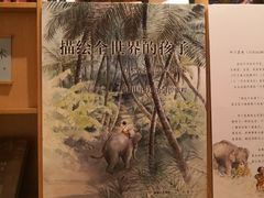-新华文创·光的空间
