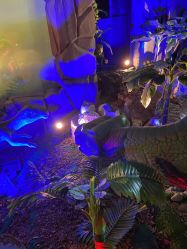 -恐龙探索乐园(磁器口店)