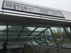 -大龙山(地铁站)