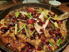 -老板恋上鱼(印象城店)