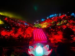 -印象普陀