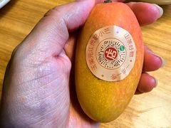 -山茶云南菜(永安里店)