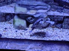 -上海海洋水族馆