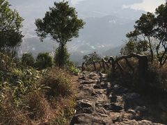 -梧桐山风景名胜区