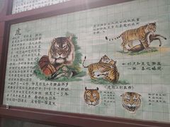 -保定市动物园