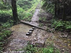 -素山寺森林公园