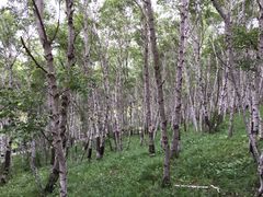 -塞罕坝国家级自然保护区